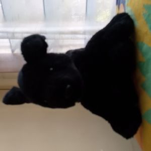 Black Dog With Red Collar 2004 By Ty